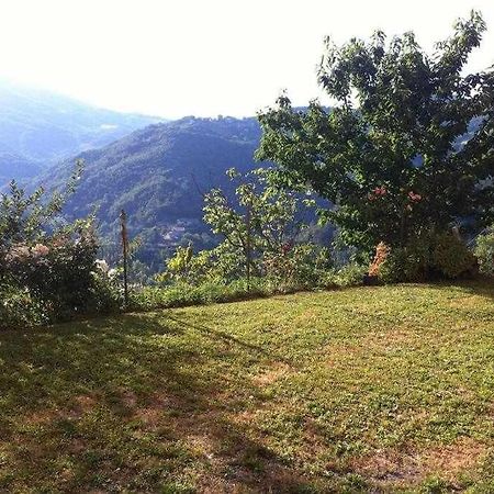 Ospitaci Appartamenti Di Campagna Le Rancole Valtopina Екстер'єр фото
